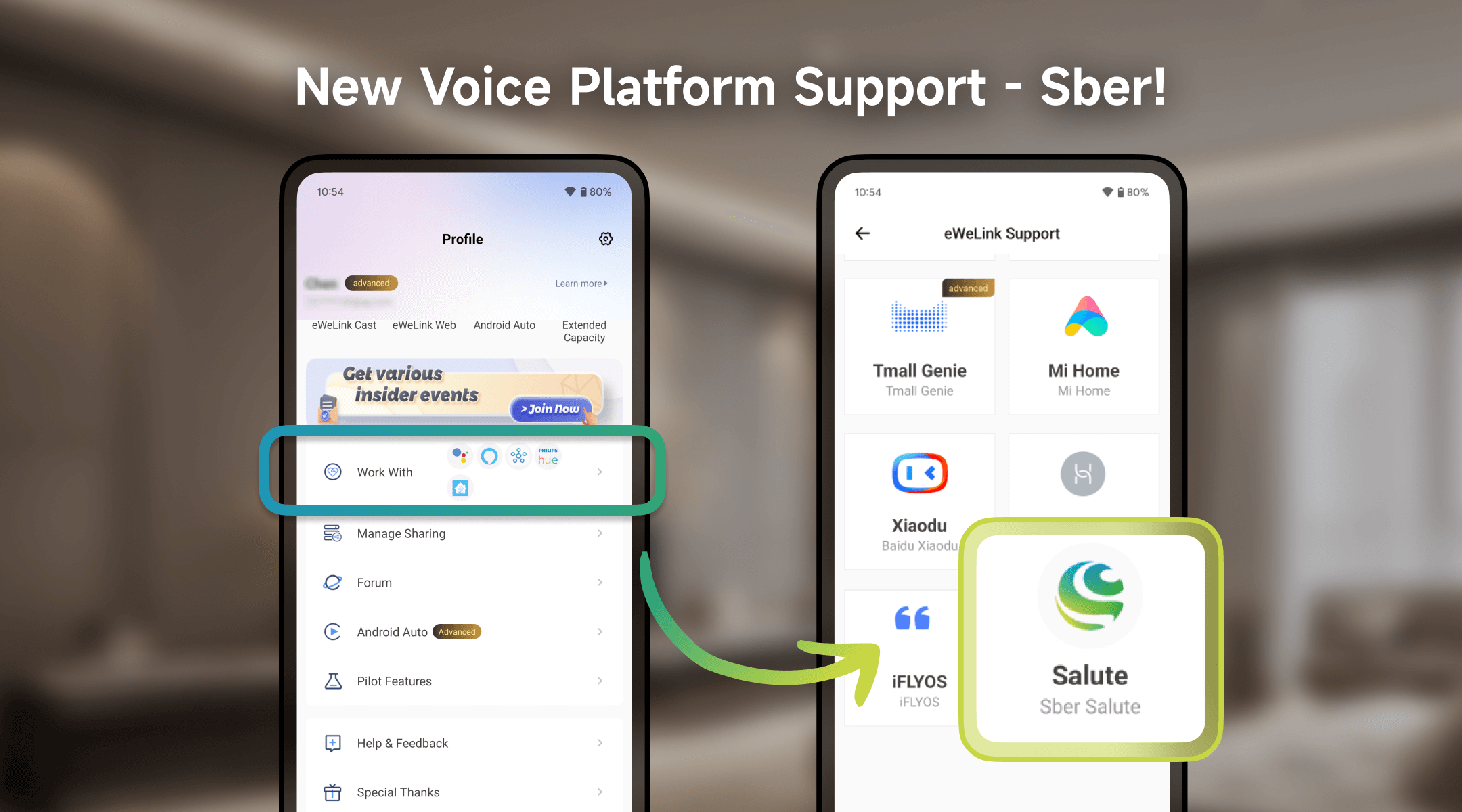 New Voice Platform Support - Sber!